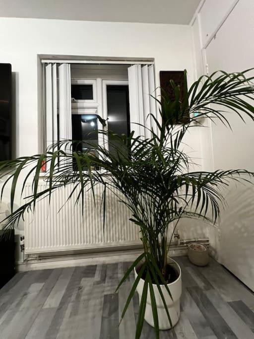 1-Bed Flat With Fast Wi-Fi In Prime Location 15Mins From Central London Exterior foto